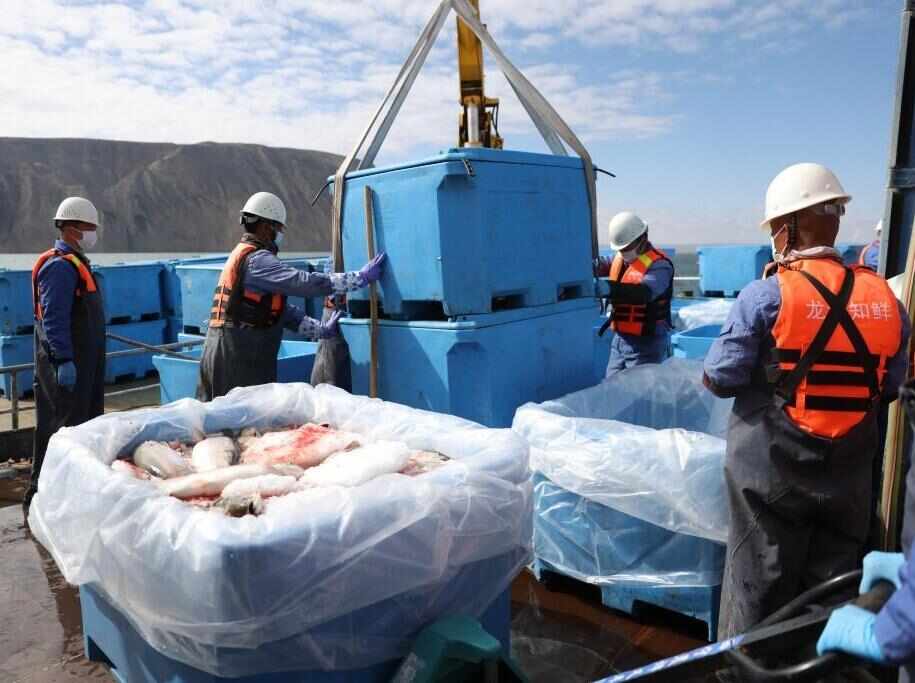  新時代中國調研行之看區域·西部篇丨青海的，魚！